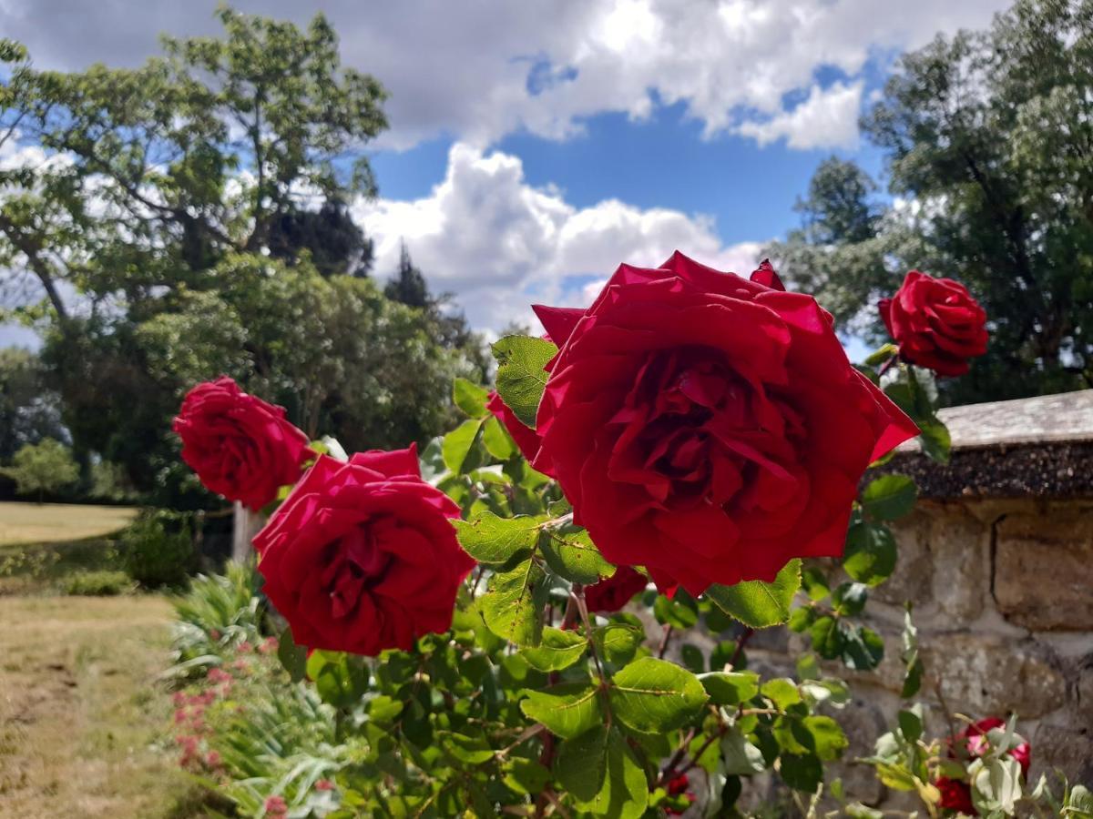 Chateau De Mongazon Saint-Franchy Esterno foto